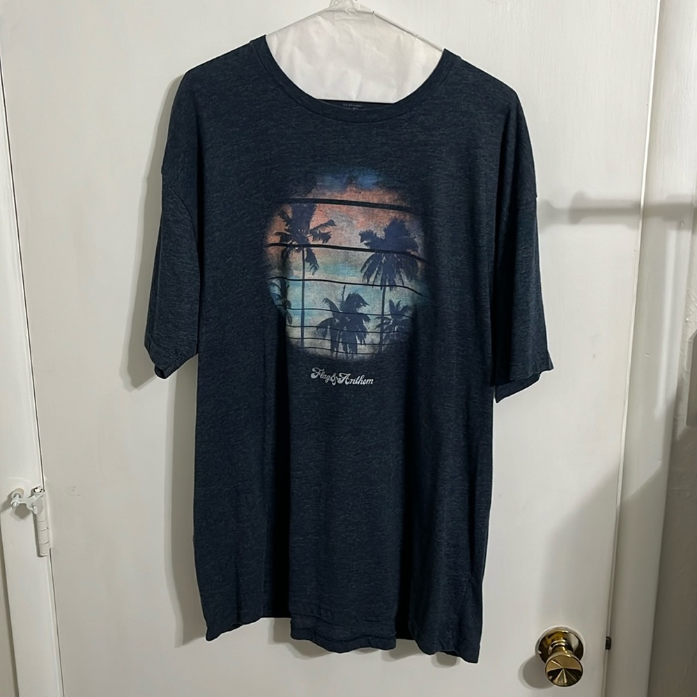 Flag and anthem short sleeve T-shirt hazy. Palms.
